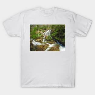 Hemlock Hollow Early Spring T-Shirt